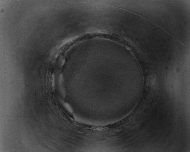 X0000051861303200507012330