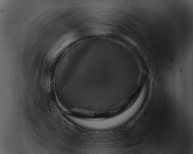 X0000051861306200507012330