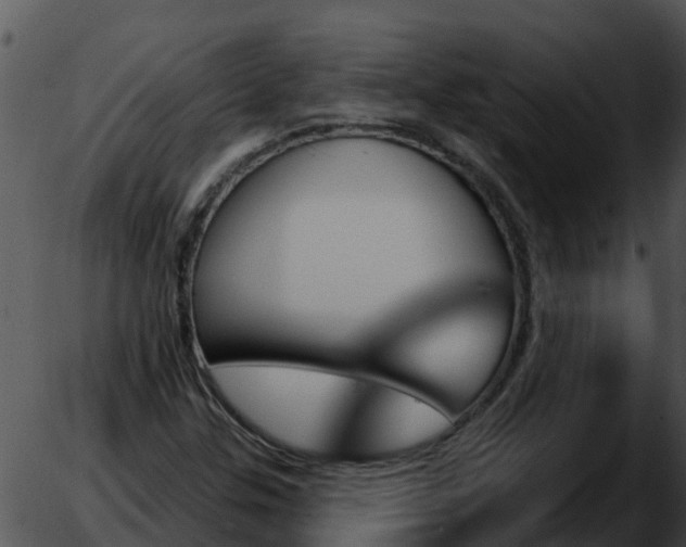 X0000051861307200507012330