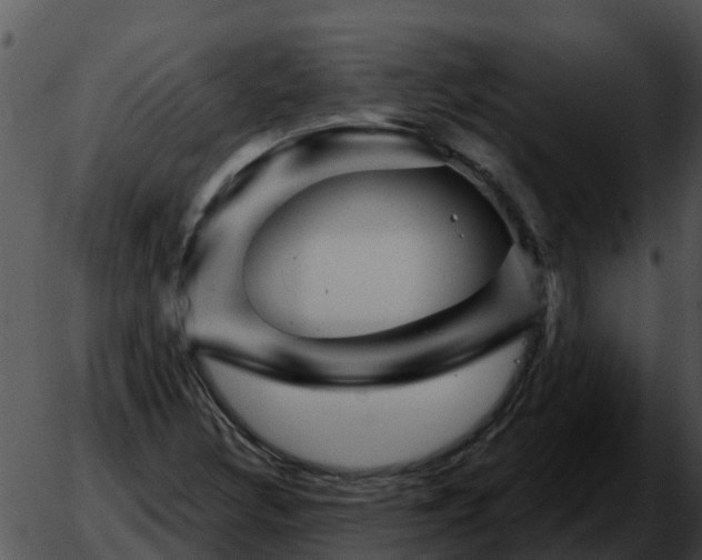 X0000051861308200507012330