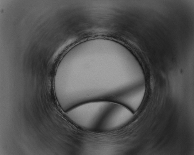 X0000051861309200507012330