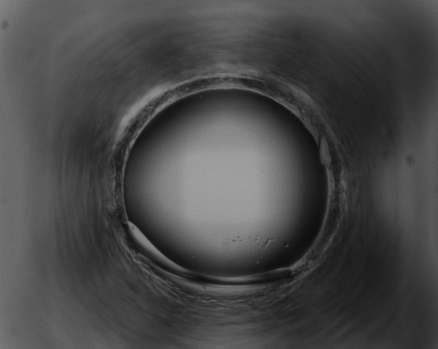 X0000051861310200507012330