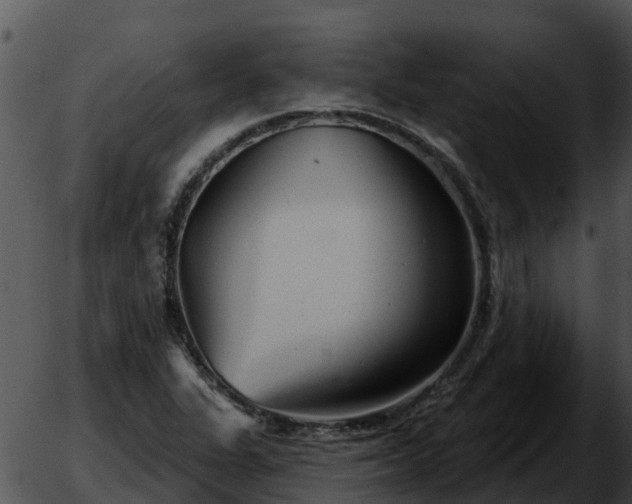 X0000051861311200507012330