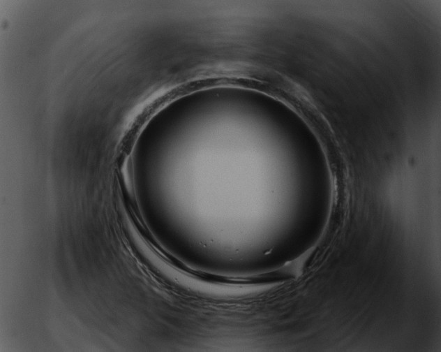 X0000051861312200507012330