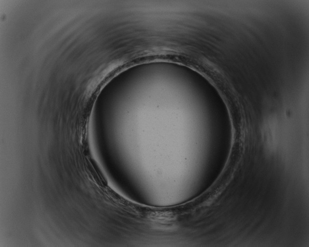 X0000051861313200507012330