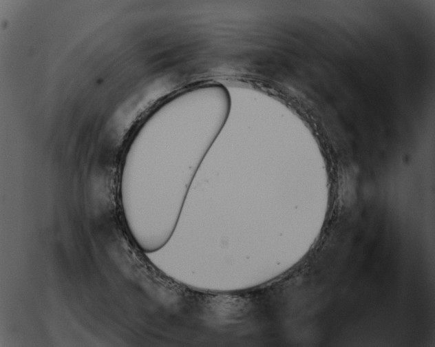 X0000051861314200507012330