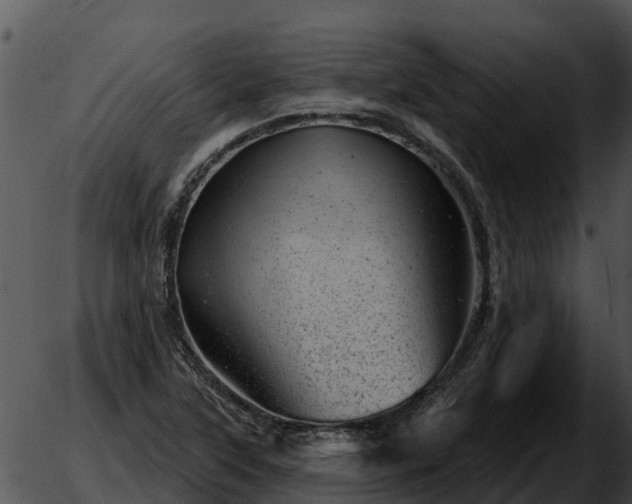 X0000051861315200507012330