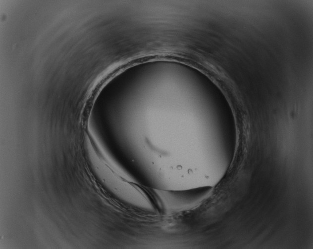 X0000051861316200507012330