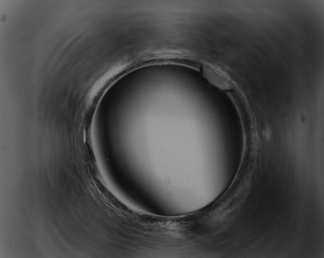 X0000051861317200507012330