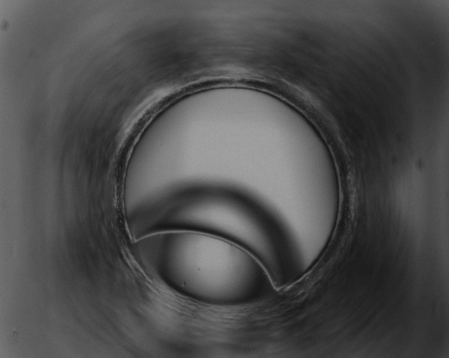 X0000051861318200507012330