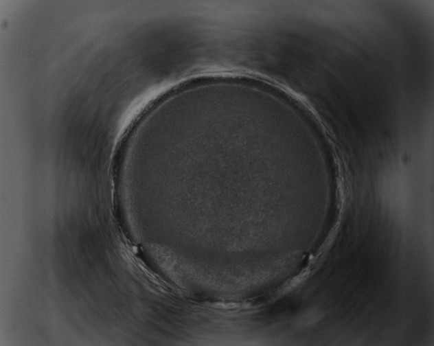 X0000051861319200507012330