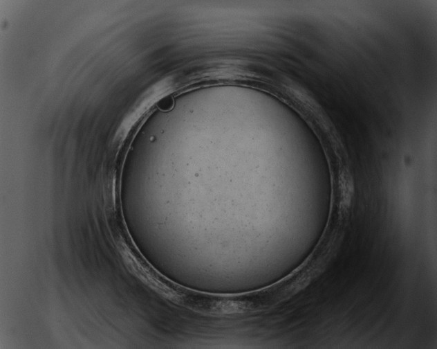 X0000051861322200507012331