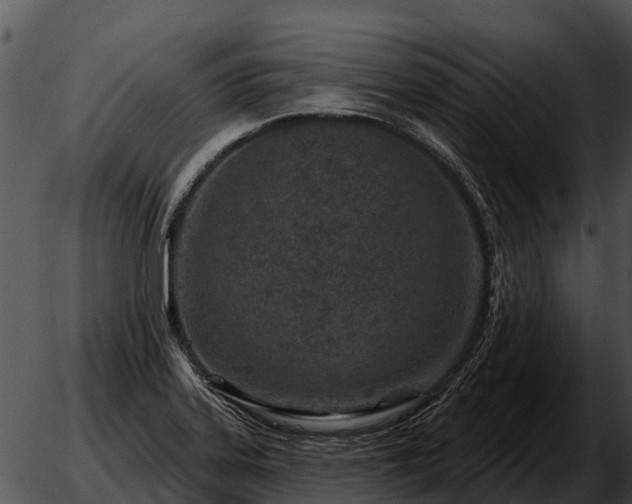 X0000051861323200507012331