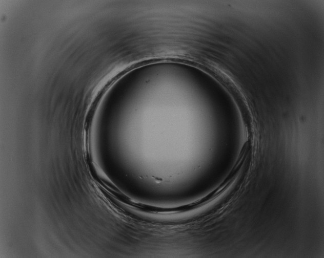 X0000051861324200507012331