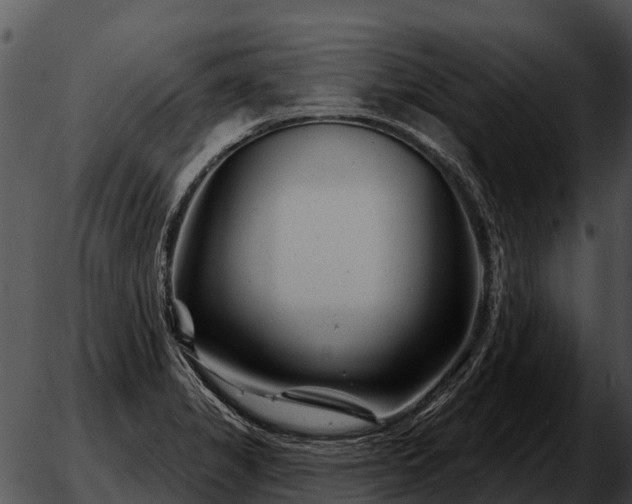 X0000051861325200507012331