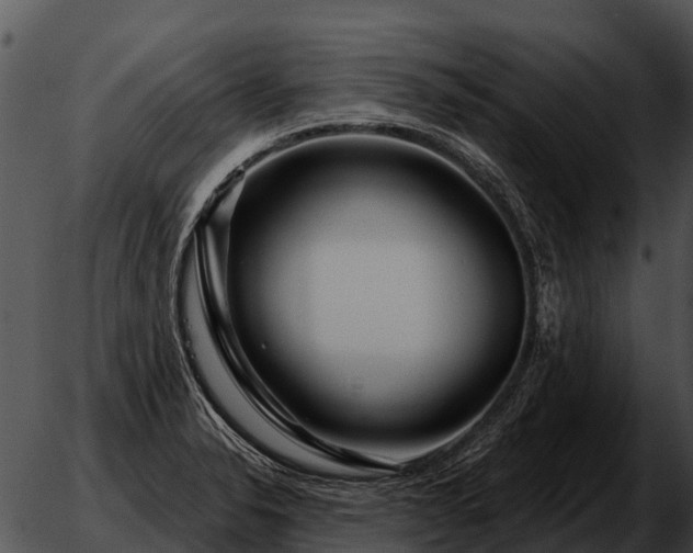 X0000051861326200507012331