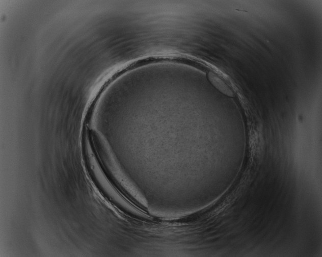 X0000051861327200507012331