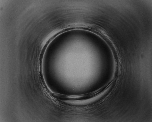 X0000051861328200507012331