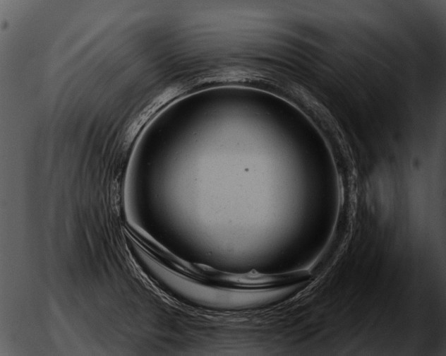 X0000051861329200507012331