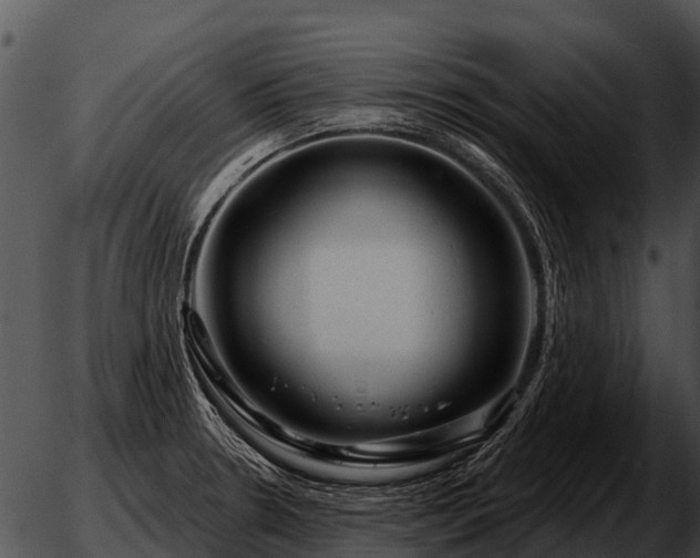 X0000051861330200507012331