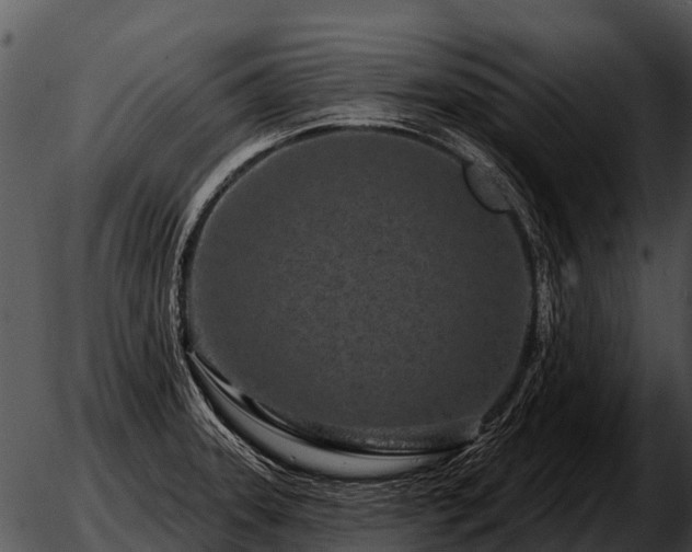 X0000051861331200507012331