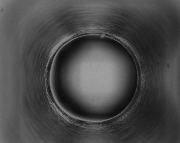 X0000051861333200507012331