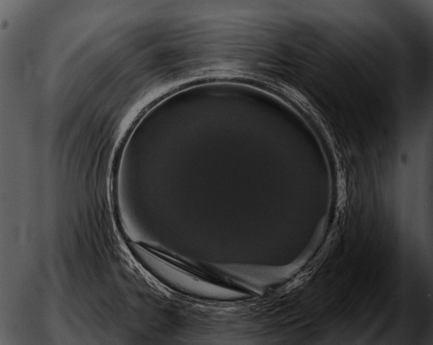 X0000051861334200507012331