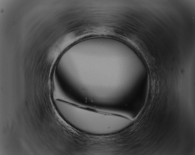 X0000051861335200507012331