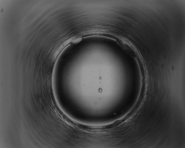 X0000051861337200507012331