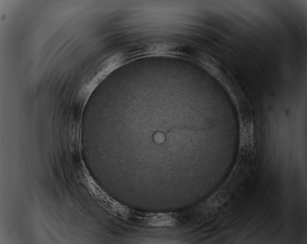 X0000051861338200507012331