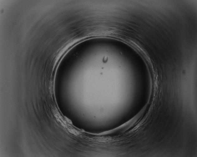 X0000051861340200507012331