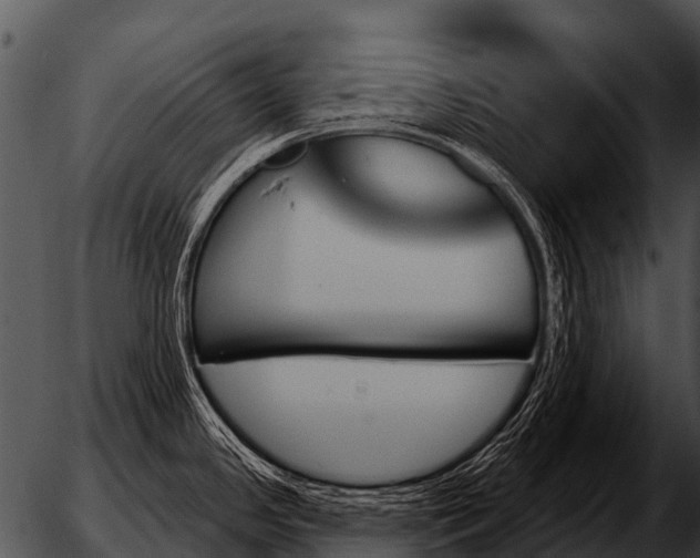 X0000051861341200507012331