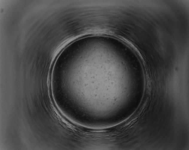 X0000051861343200507012331