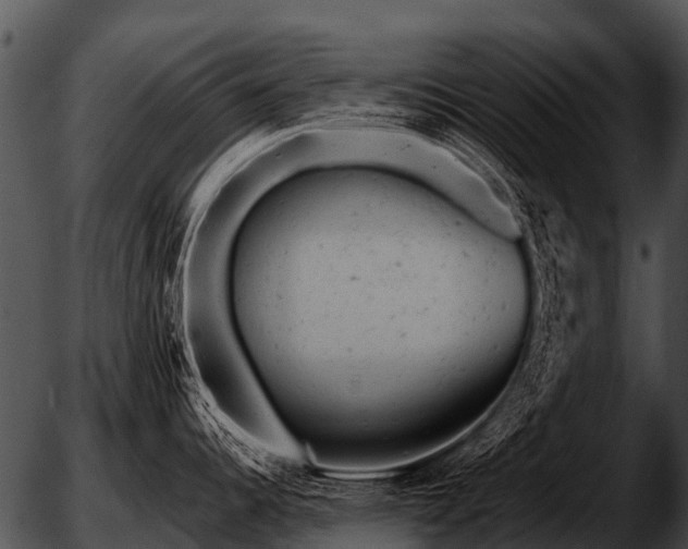 X0000051861344200507012331