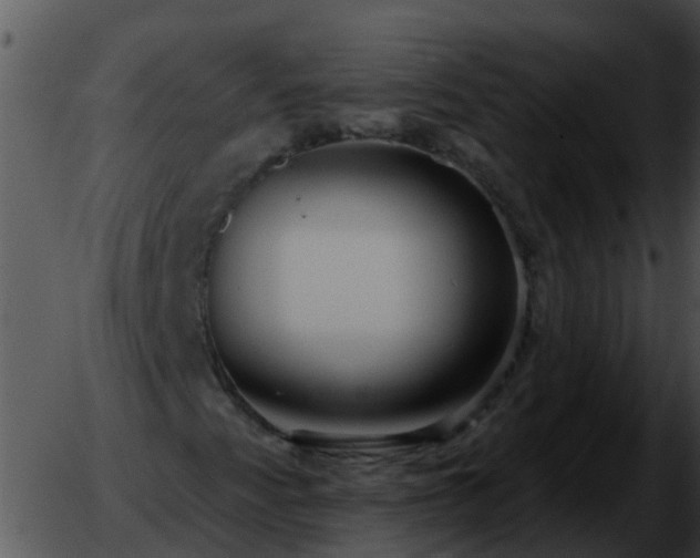 X0000051861345200507012330