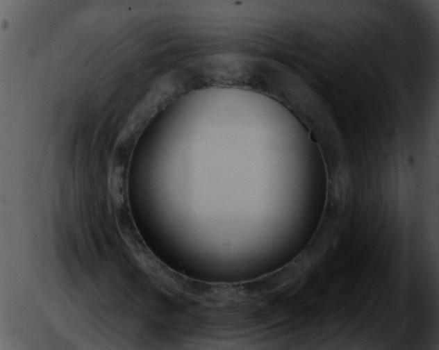 X0000051861346200507012330