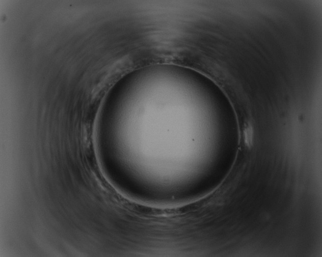 X0000051861347200507012330