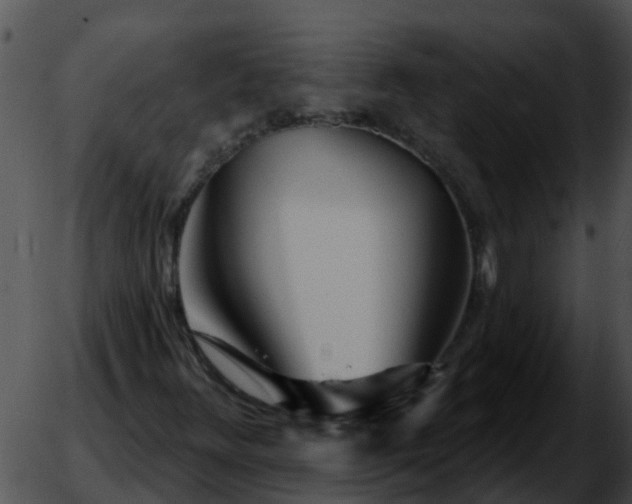 X0000051861348200507012330