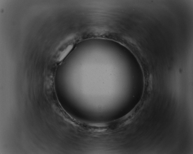 X0000051861349200507012330