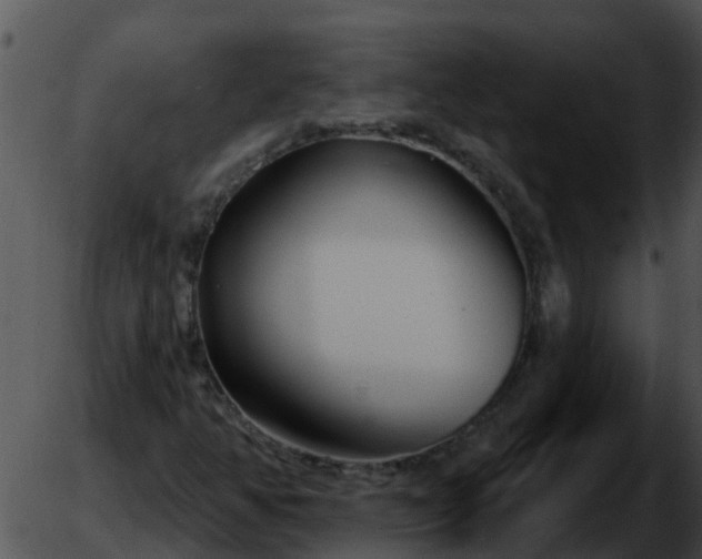 X0000051861350200507012330