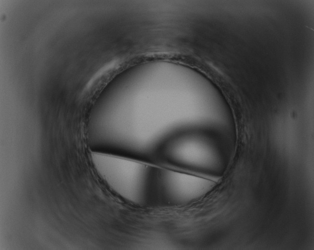 X0000051861351200507012330