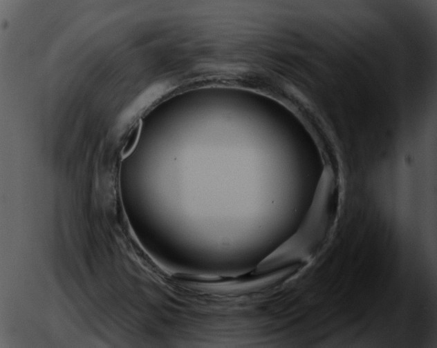 X0000051861354200507012330