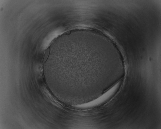 X0000051861355200507012330