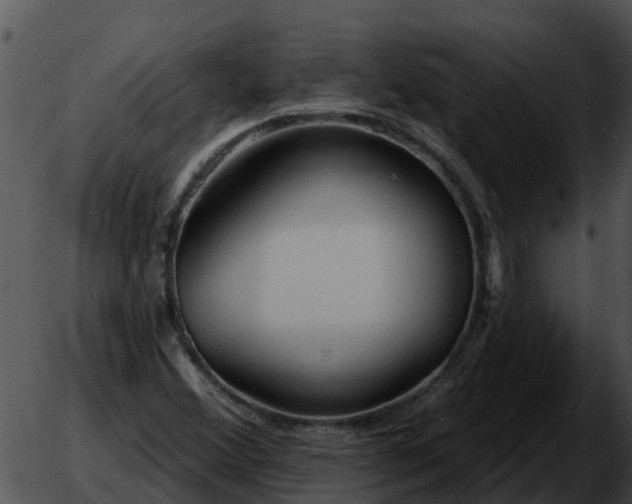 X0000051861356200507012330