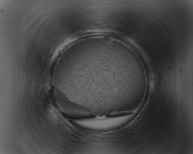 X0000051861357200507012330