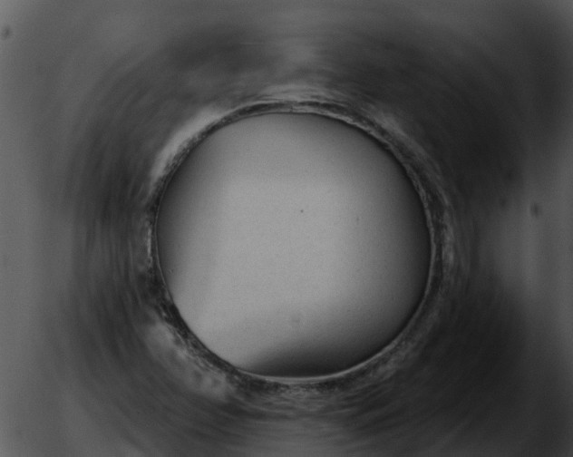 X0000051861358200507012330