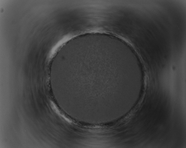 X0000051861359200507012330