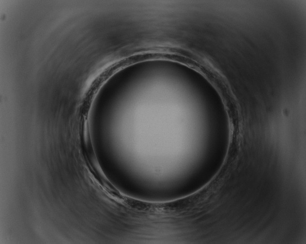 X0000051861360200507012330