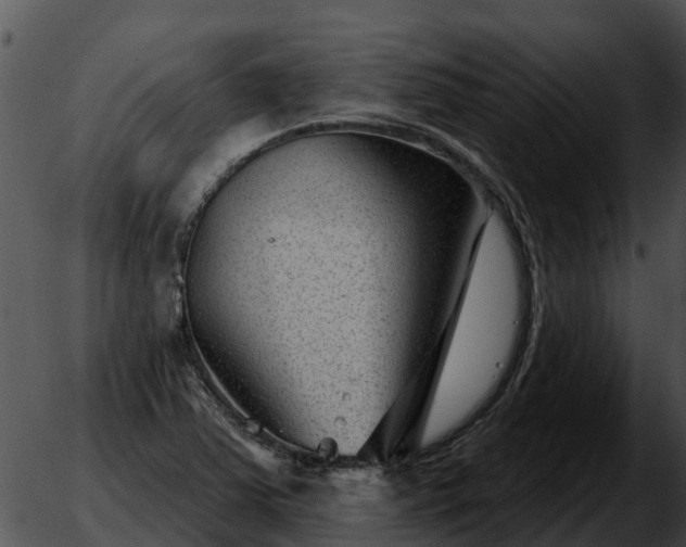 X0000051861363200507012330