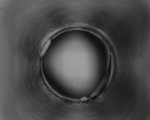 X0000051861364200507012330